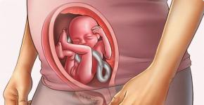 Интересные статьи для беременных женщин